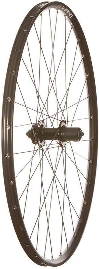 Wheel Shop, Alex MD21 / Formula DC-20, Front 29'' Wheel, 32 Sapim Leader Spokes, Disc IS 6-bolt, QR, 100mm