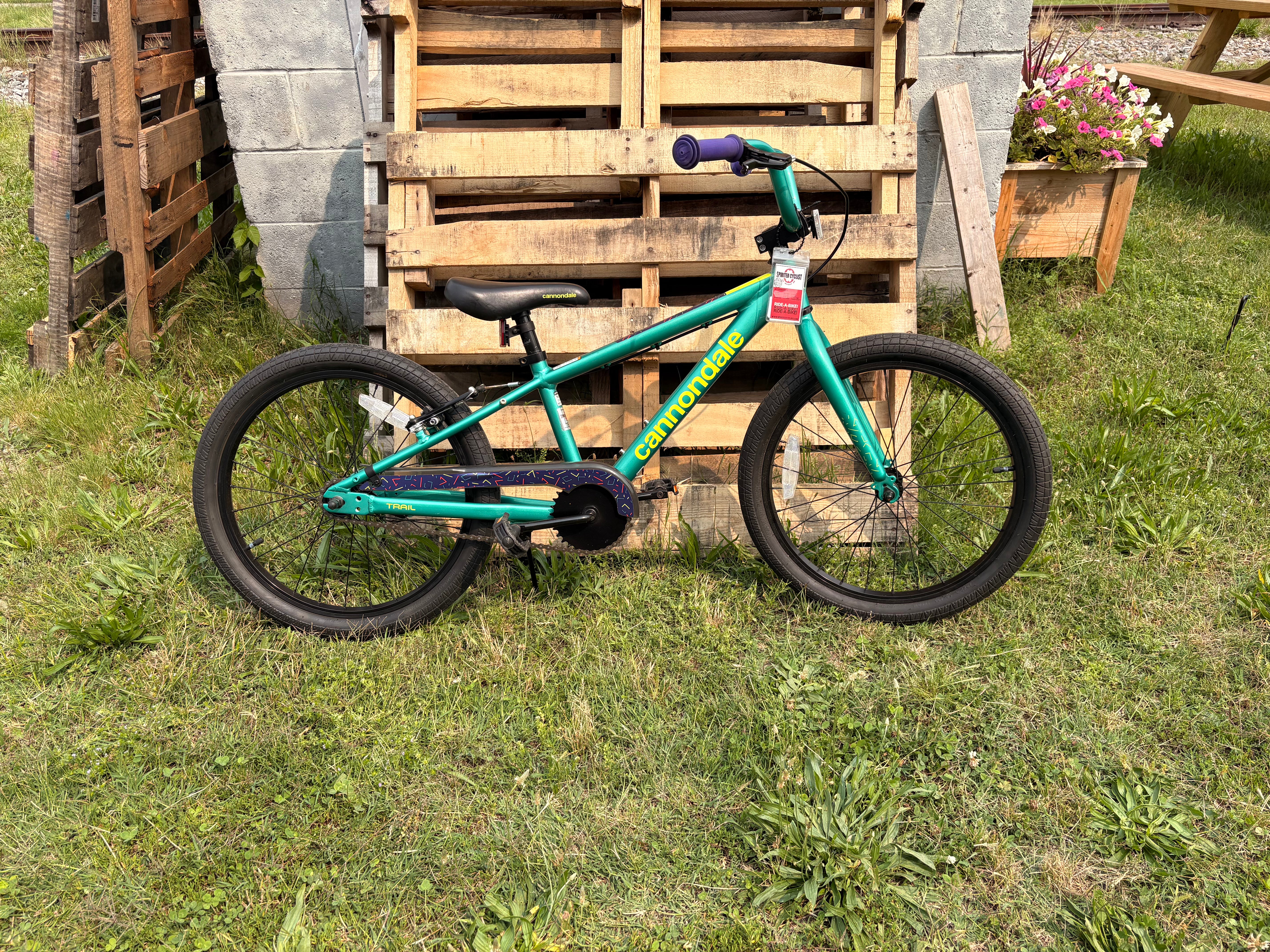 pedal cannondale Cannondale Trail 20: Used