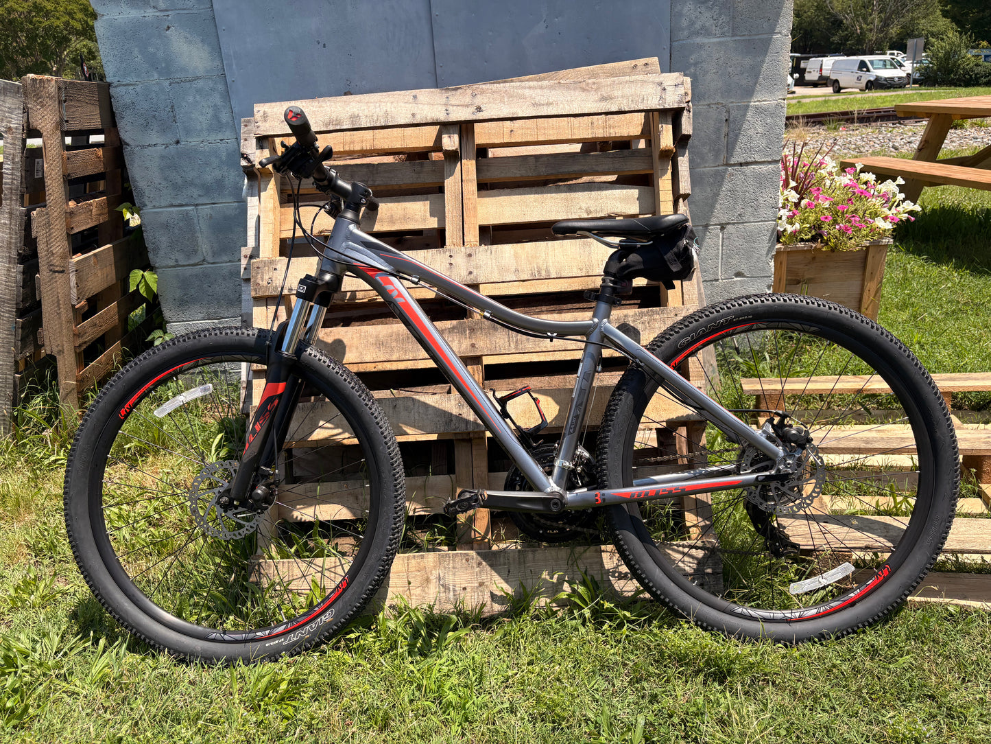 Used giant Liv MTB small