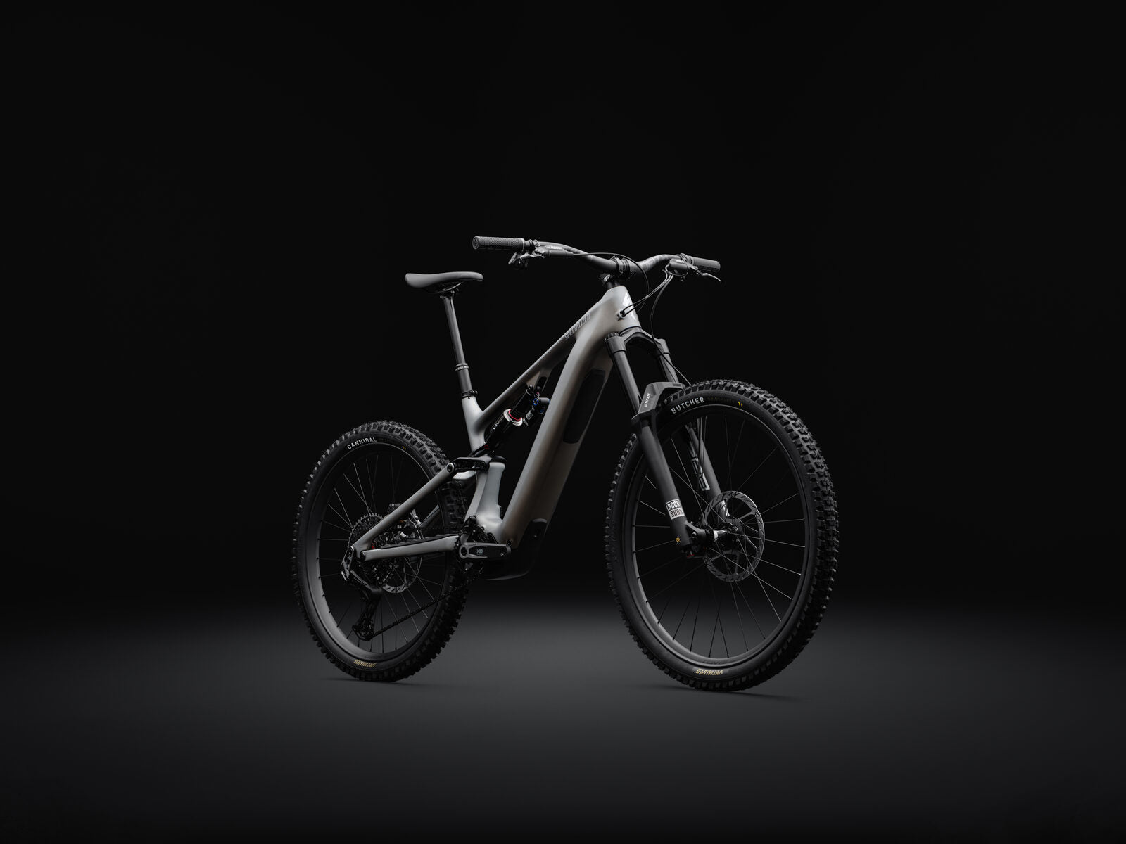 Specialized Turbo Levo electric mountain bike