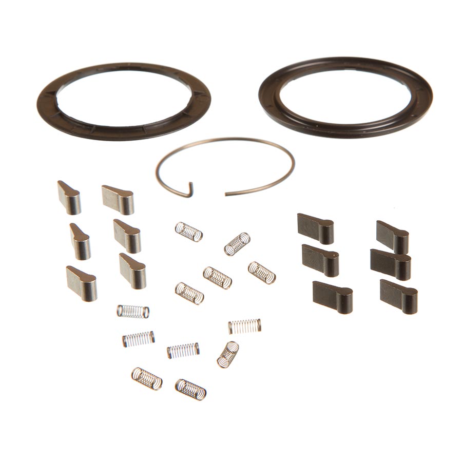Zipp Spring and Pawl Set - ZM2 Other Hub Part Zipp Speed Weaponry