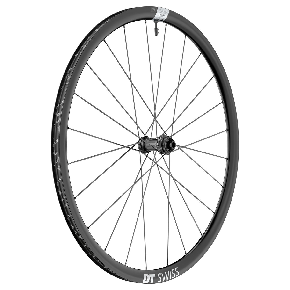 DT Swiss E 1800 Spline 30 Front Wheel - 700c 12 x 100mm Center-Lock Black Front Wheel DT Swiss