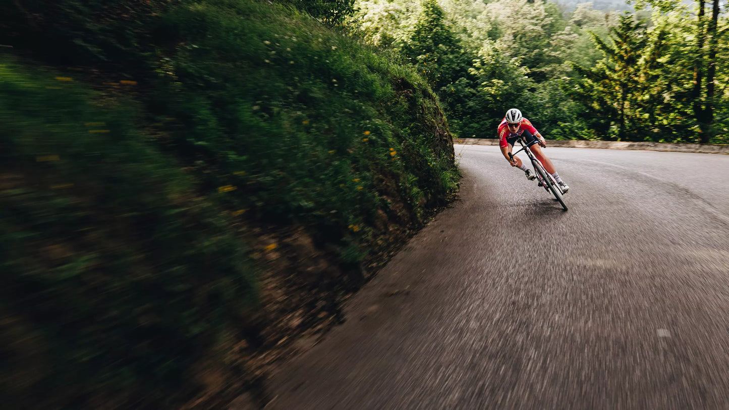 2026 Specialized Tarmac Sl7 Sport Bike Gloss Black / Dolomite Metallic 54