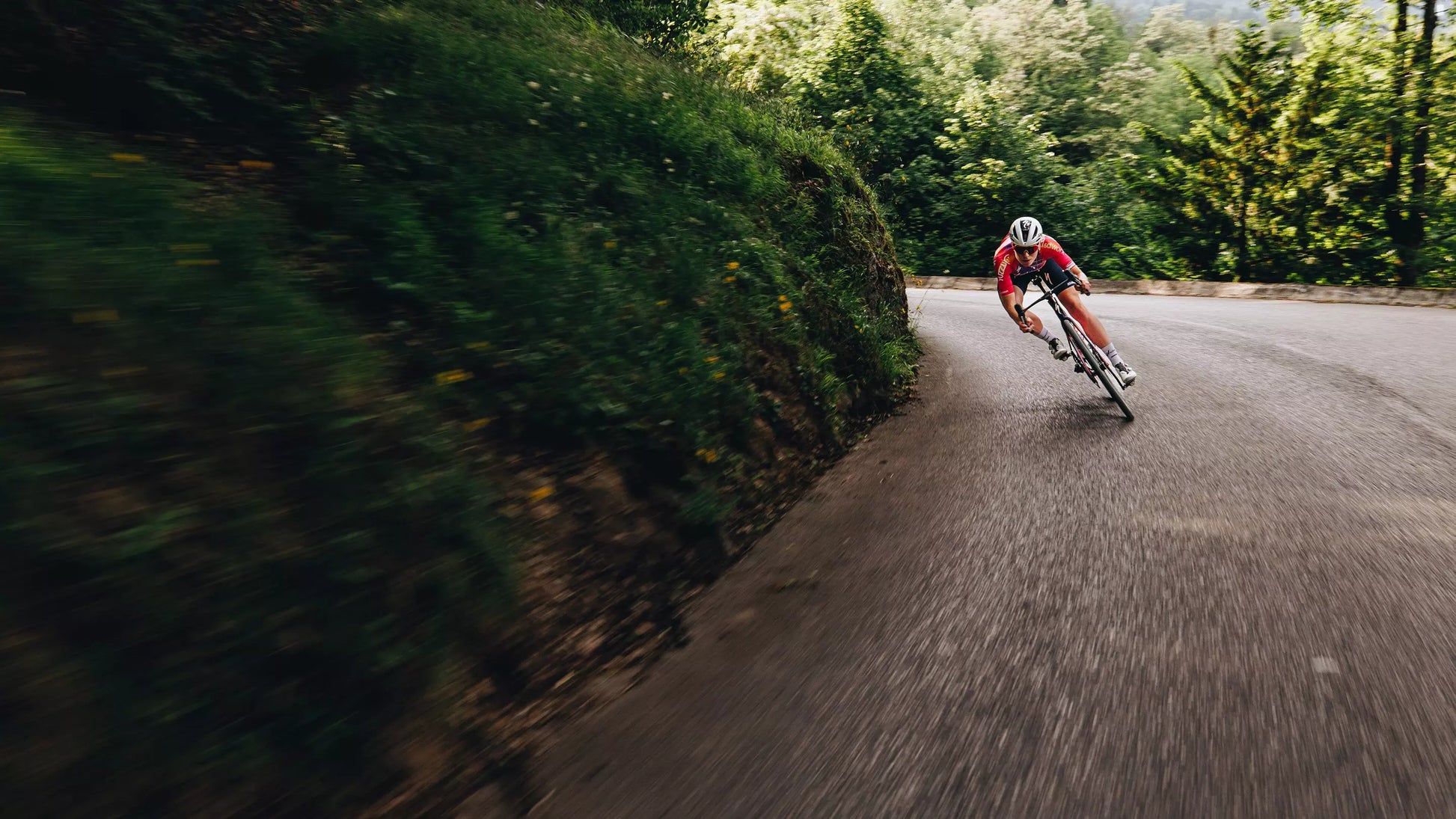 2026 Specialized Tarmac Sl7 Sport Bike Gloss Black / Dolomite Metallic 54