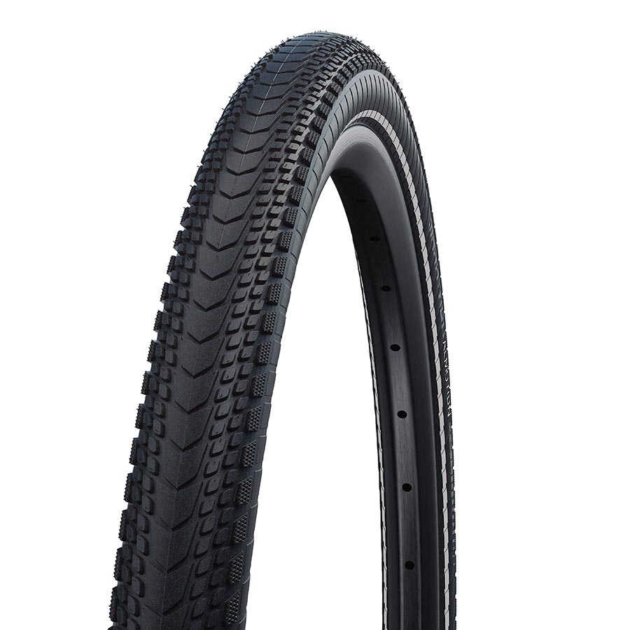 Schwalbe Marathon Almotion Tire 29x2.15 Folding Tubeless Ready Addix MicroSkin RaceGuard 67TPI Black
