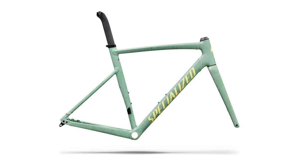 Allez Sprint Frameset - D'Aluisio Smartweld Alloy - Agave Sunset / 49