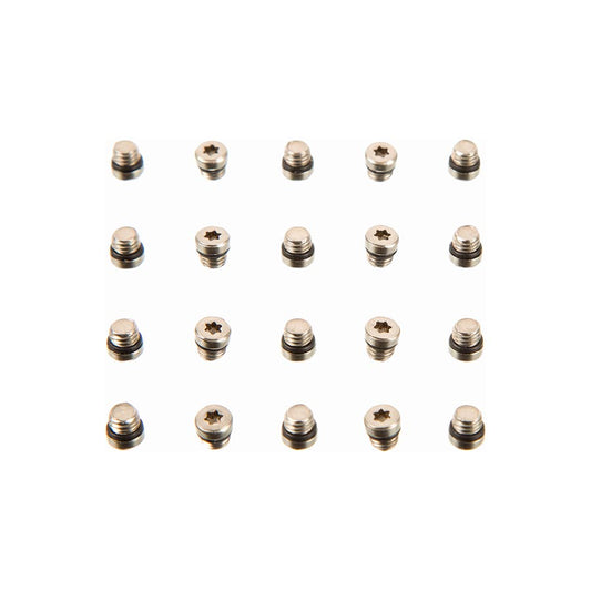 SRAM Lever Bleed Screw 20pcs