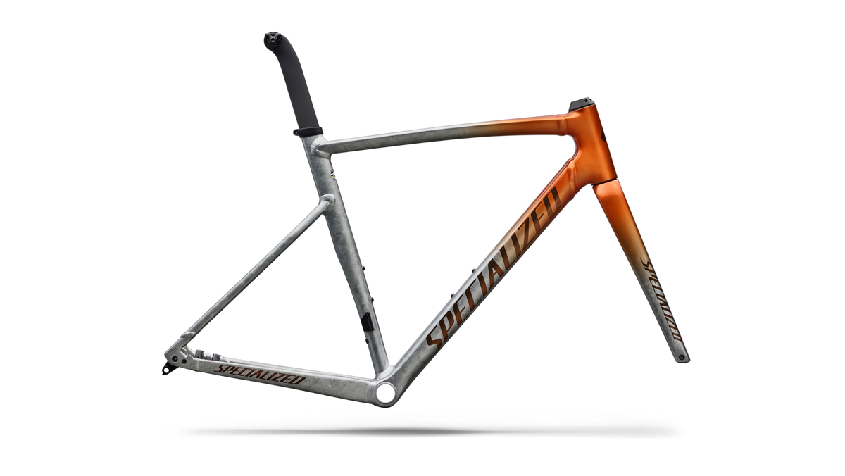 Allez Sprint Frameset - D'Aluisio Smartweld Alloy - Copper Tint / 49