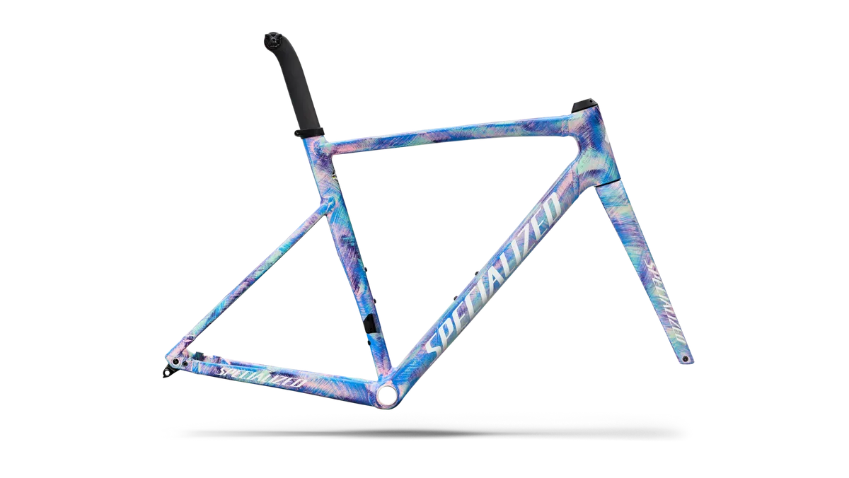 Allez Sprint Frameset - D'Aluisio Smartweld Alloy - Multi-Color Dry Brush / 49
