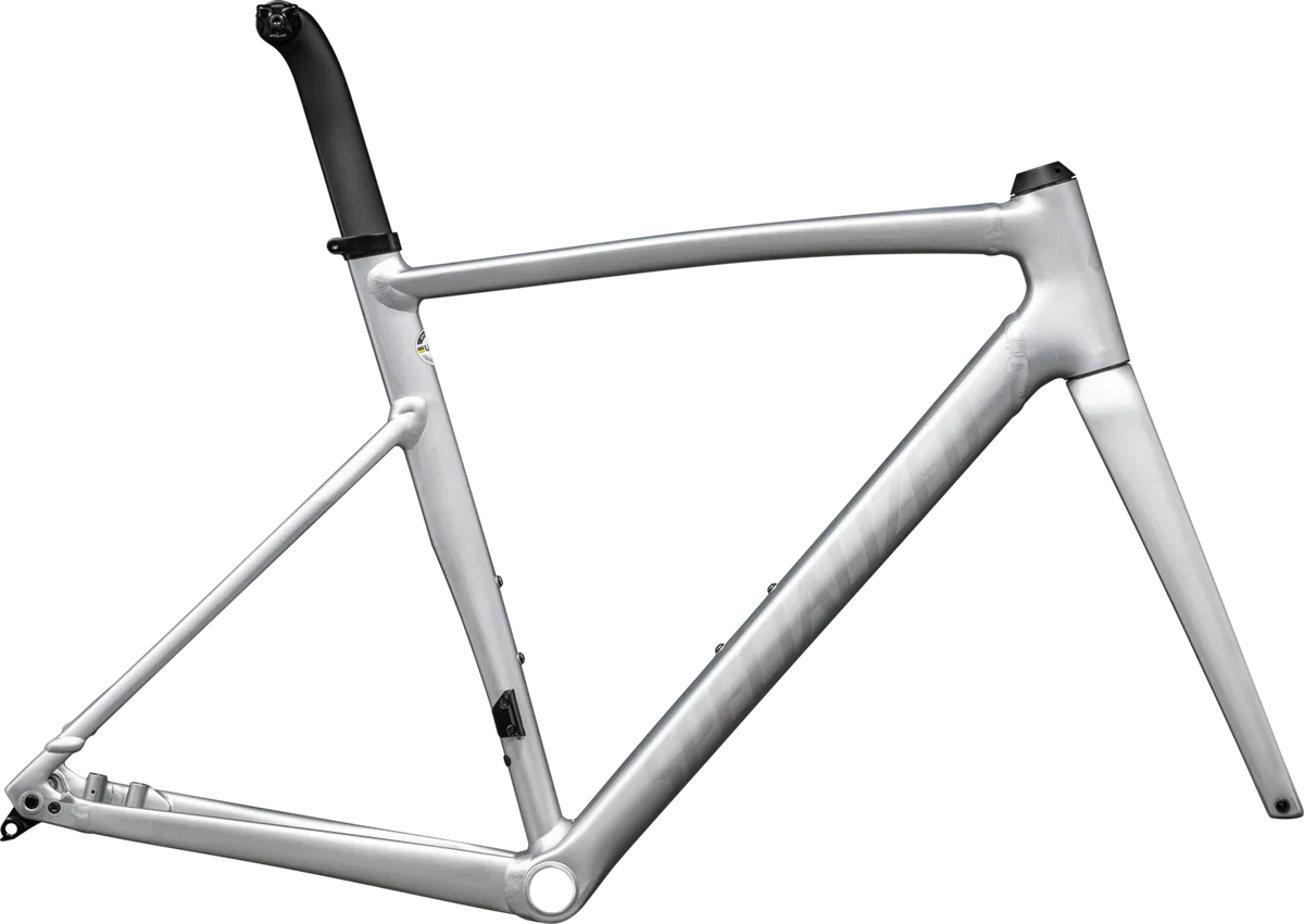 Allez Sprint Frameset - D'Aluisio Smartweld Alloy - Satin Fog Tint Brush / Black Pearl / 49