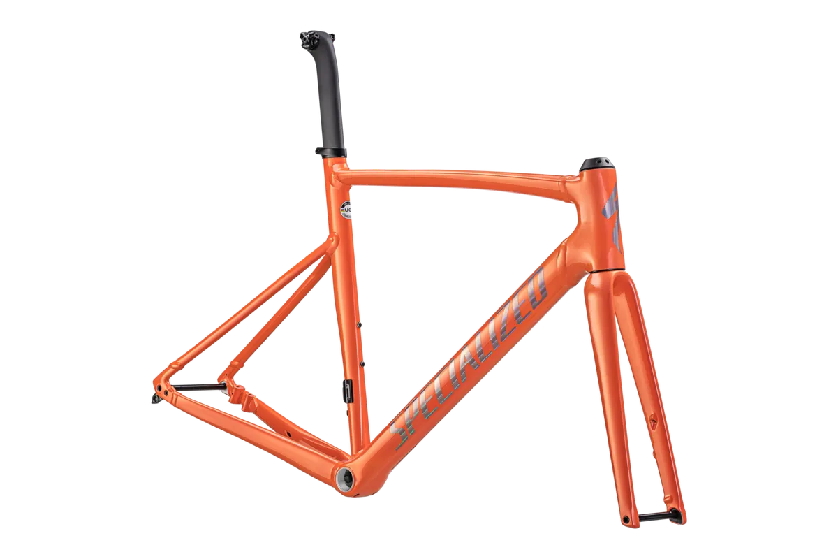 Allez Sprint Frameset - D'Aluisio Smartweld Alloy - Gloss Cactus Bloom/Holographic Foil / 49