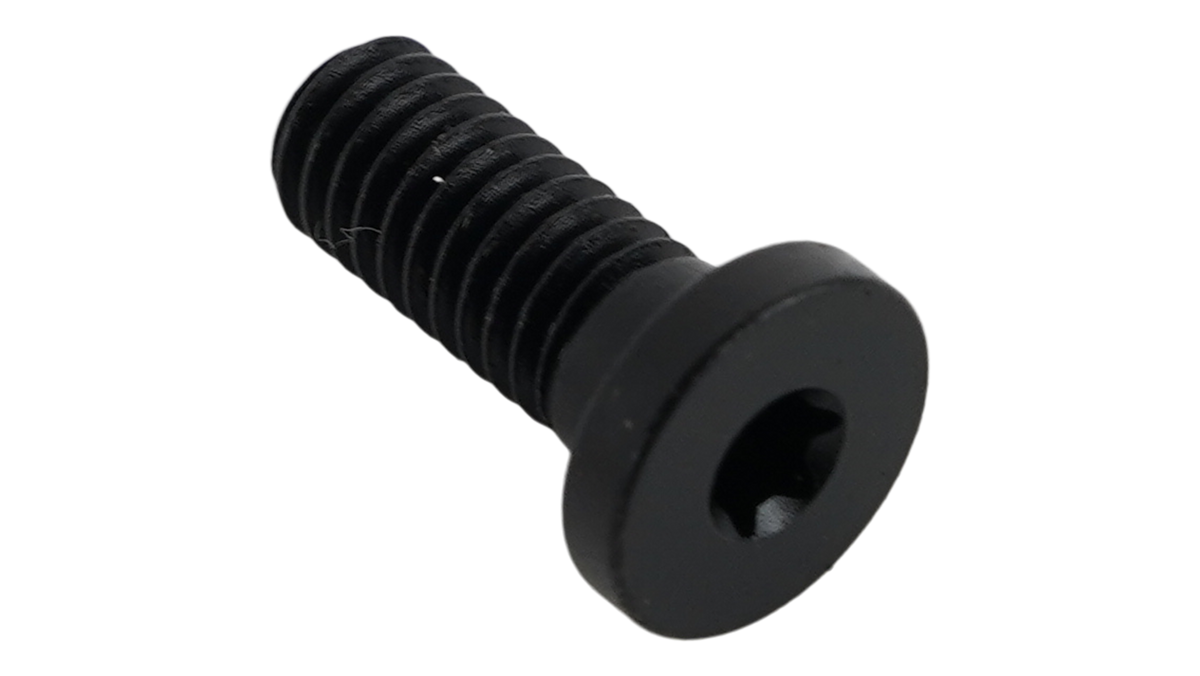 Turbo Connect Unit (TCU) Mounting Bolt - T10