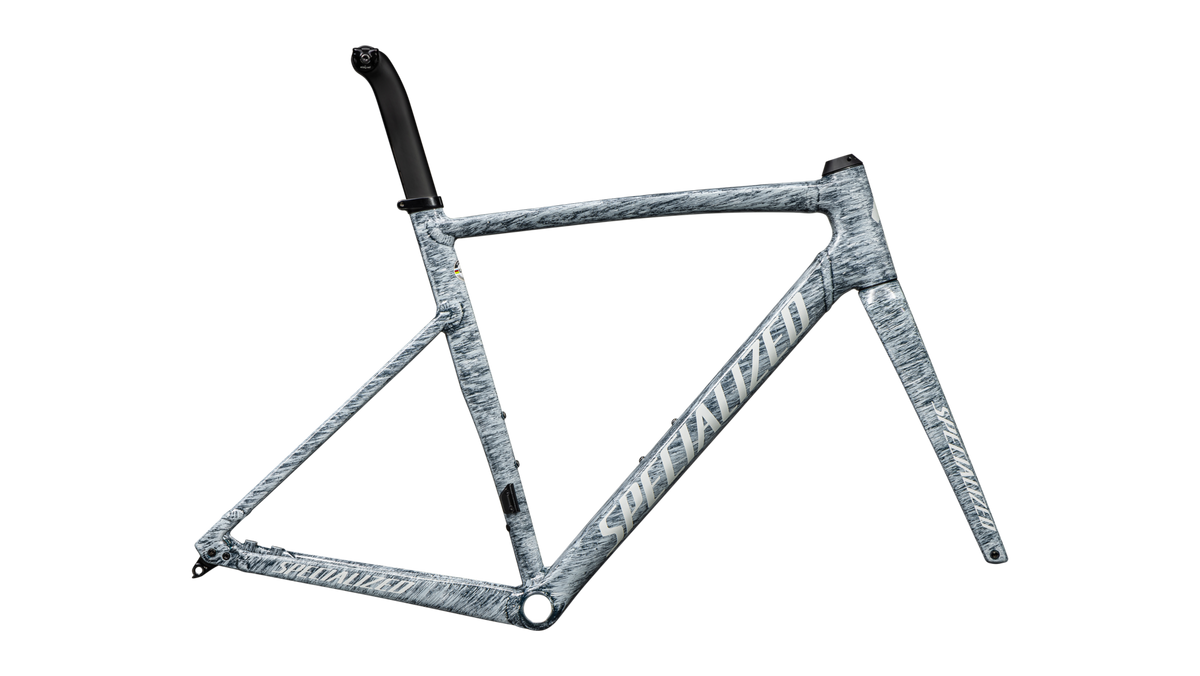 Allez Sprint Frameset - D'Aluisio Smartweld Alloy - Satin Sea Foam / Gloss Dune White / 49