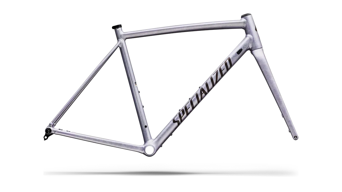 Crux DSW Frameset - D'Aluisio Smartweld Alloy - Grey / 49