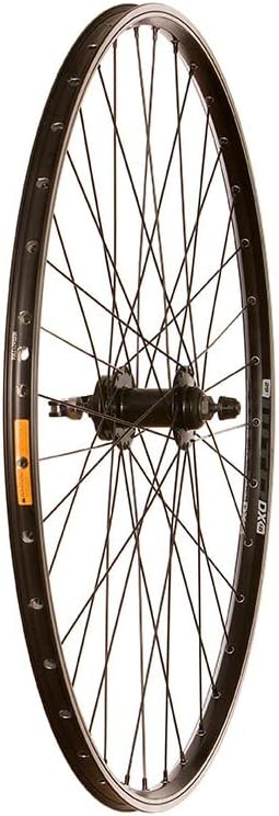 Wheel Shop, WTB DX18, Wheel, Front, 700C / 622, Holes: 36, QR, 100mm, Rim and Disc IS 6-bolt