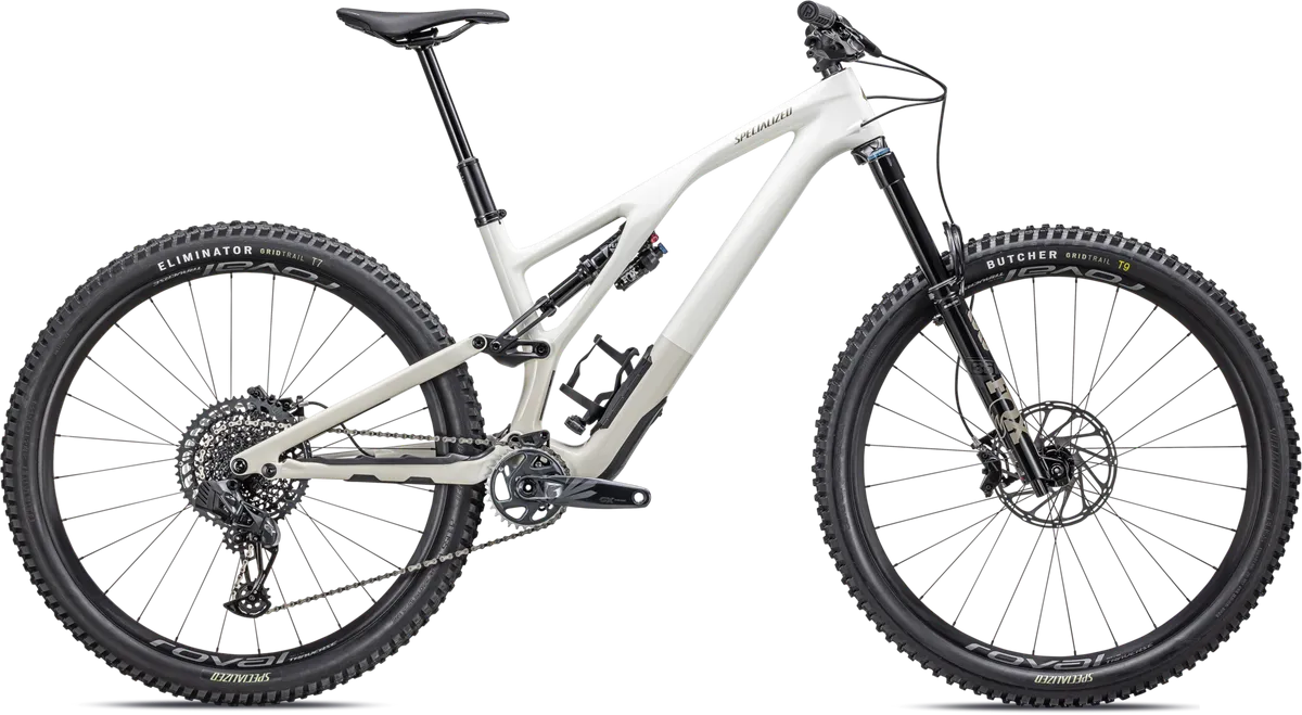 Stumpjumper EVO Expert - SRAM GX Eagle AXS, FOX Performance Elite - GLOSS BIRCH / TAUPE / S1