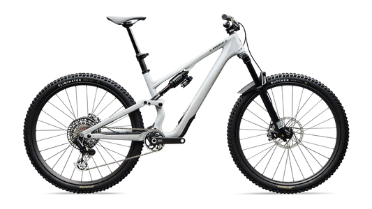 S-Works Stumpjumper 15 EVO - Gloss Metallic White Silver / S1