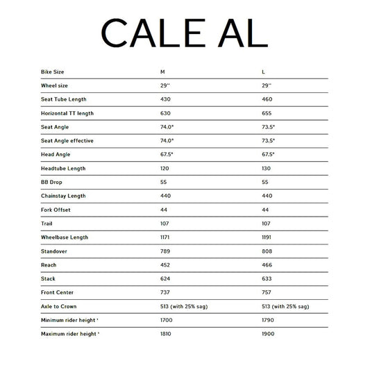 Bombtrack Cale AL Hardtail Bicycle 29 Teal M