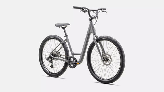 2025 Specialized roll 2.0 low entry bike gloss cool grey / satin smoke reflective s