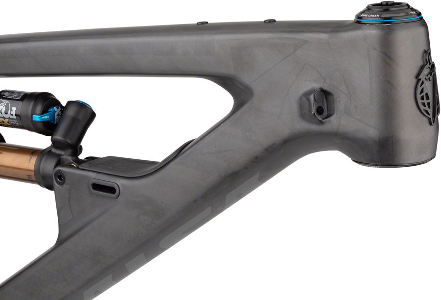 Salsa Cassidy Carbon Frame - Carbon Raw Large