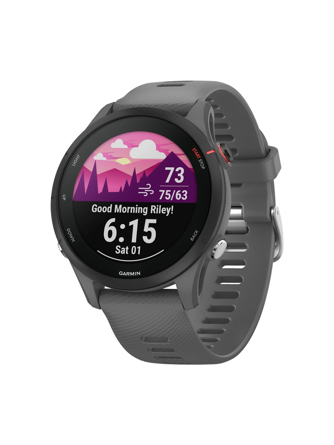 Garmin Forerunner 255 Slate Gray