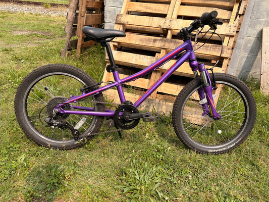 Specialized Hotrock 20: Used