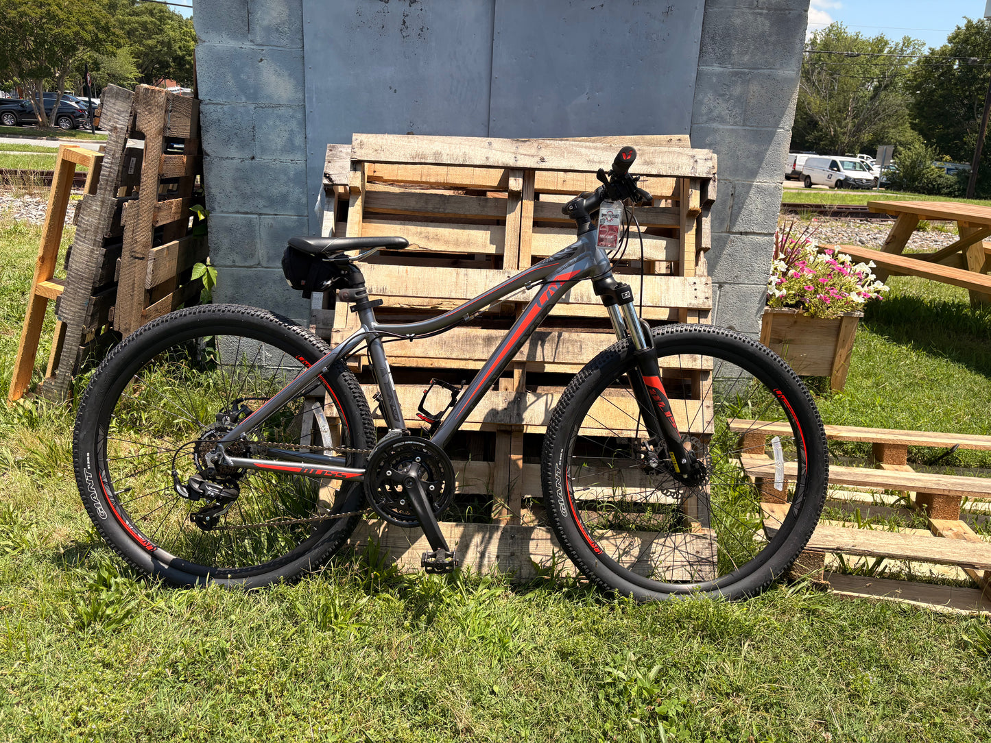 Used giant Liv MTB small