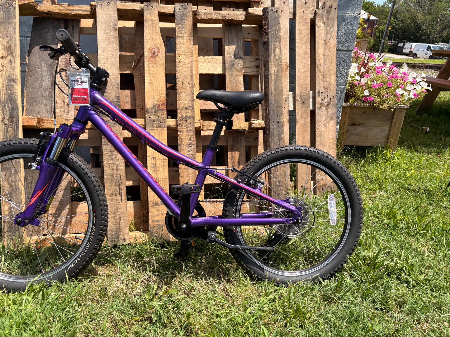 Used Specialized Hotrock 20 7spd Purple