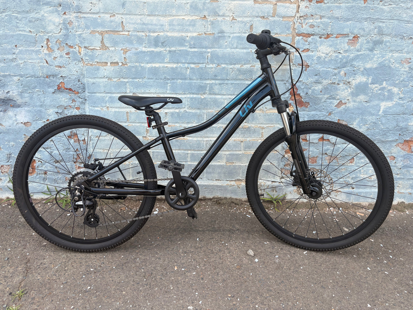 Used LIV Enchant 24in