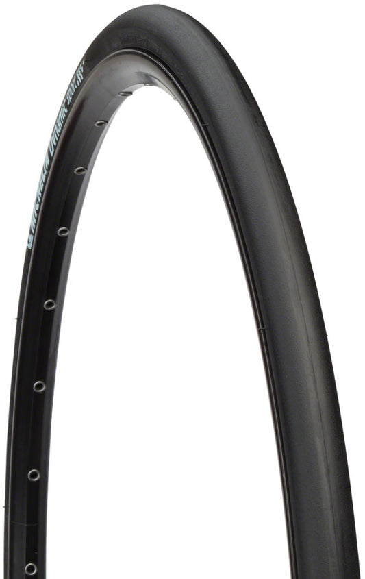 Michelin Dynamic Sport Tire - 700 x 25 Clincher Wire Black