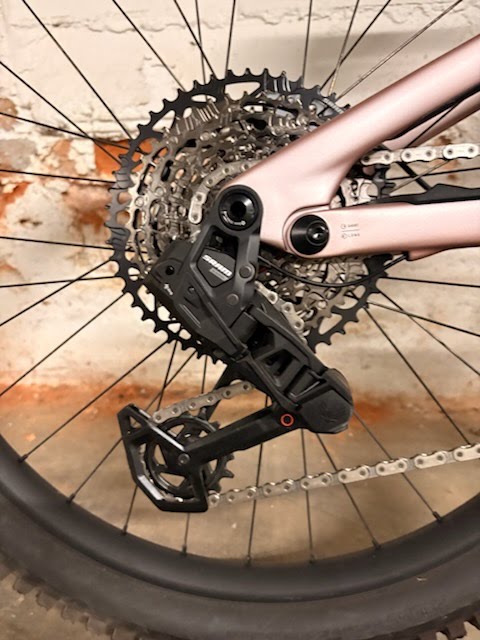 Demo bike: Levo 4 Comp Carbon