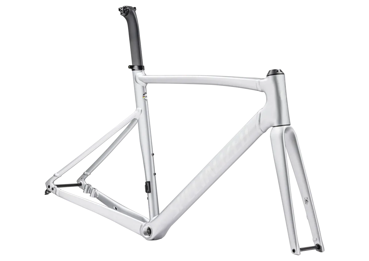 Allez Sprint Frameset - D'Aluisio Smartweld Alloy - Satin Silver Dust/Gloss Transparent Decals / 49