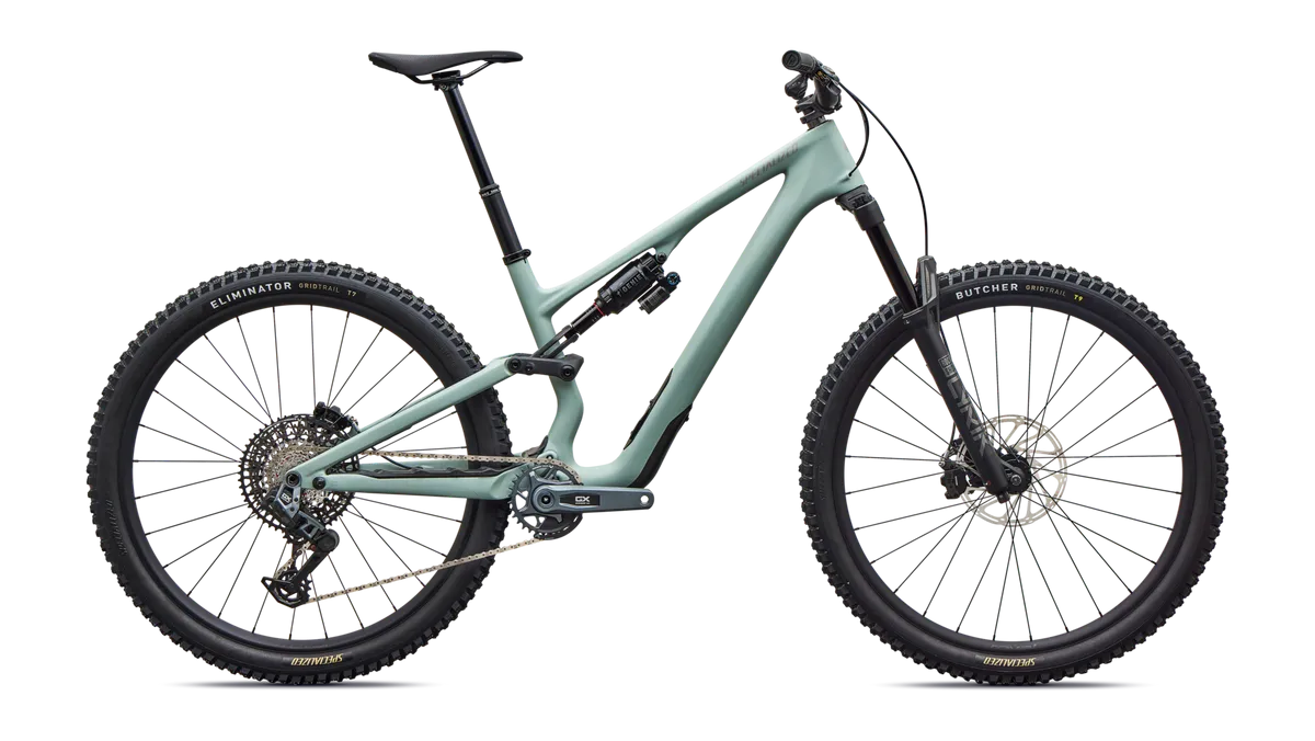 Stumpjumper 15 EVO Expert - Satin Agave Grey / S1