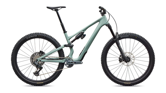 Stumpjumper 15 EVO Expert - Satin Agave Grey / S1