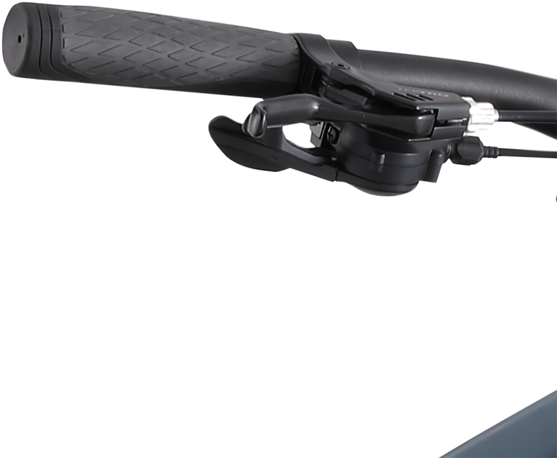 Diamondback Division 210000046406