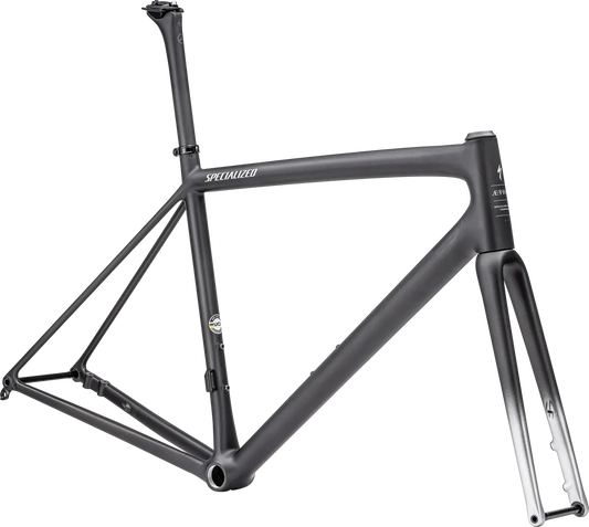 Aethos Frameset - FACT 10r Carbon - Satin Carbon/Flake Silver / 49