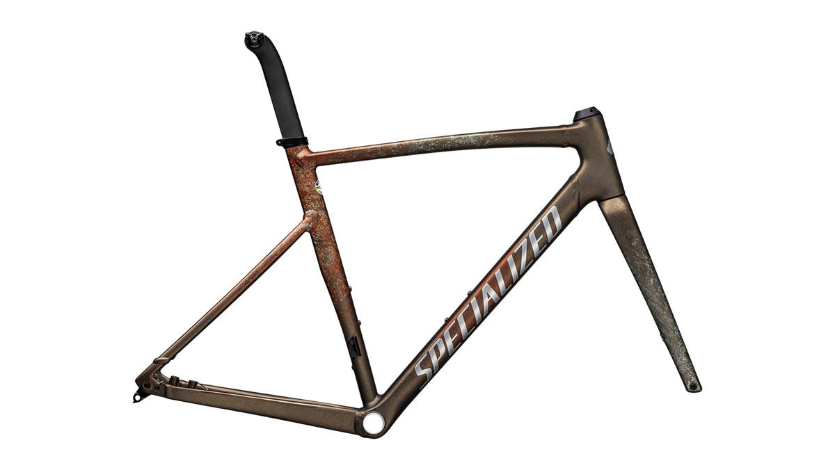 Allez Sprint Frameset - D'Aluisio Smartweld Alloy - Copper Multicolor Blurred Impasto / Brushed Liquid Metal / 49