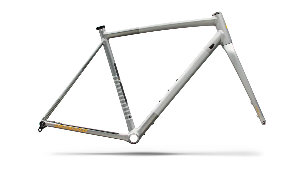 Crux DSW Frameset - D'Aluisio Smartweld Alloy - Shadow Silver / 49