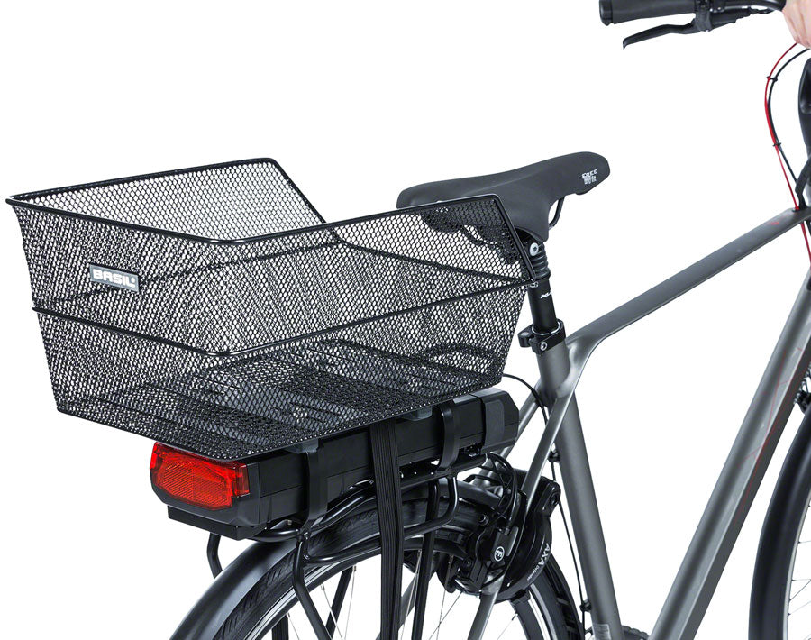 Basil cento 2024 rear basket