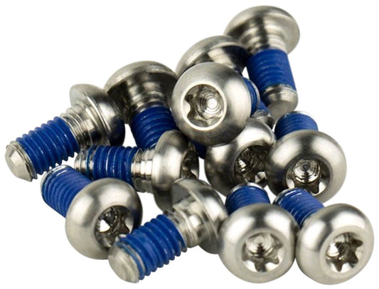 SRAM Titanium T25 Rotor Bolt Kit - Silver Set of 12 Disc Rotor SRAM   