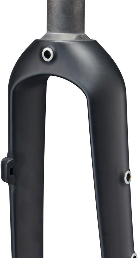 Carbon fork with online rack mounts