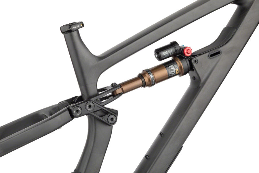 Salsa Blackthorn Carbon Frame - Carbon Raw Small Mountain Frame Salsa   