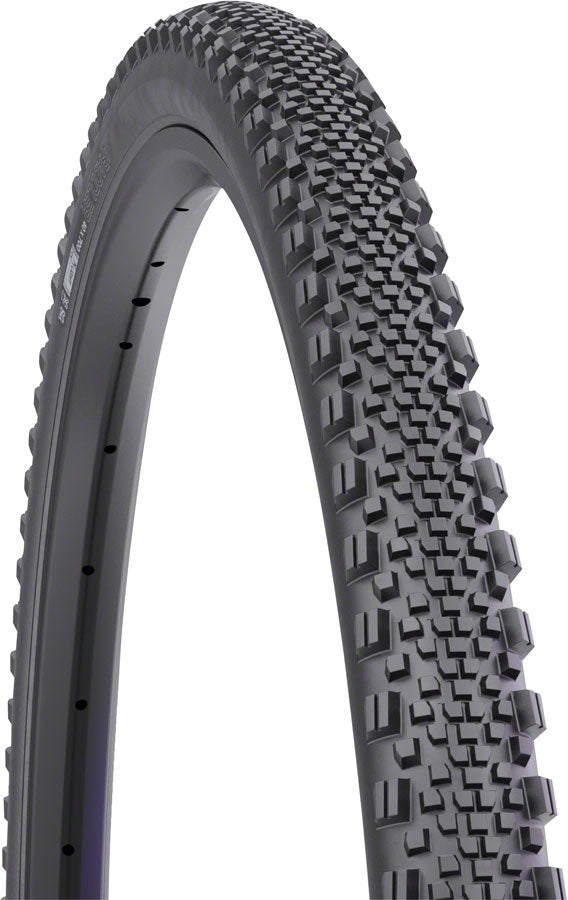 WTB Raddler Tire - 700 x 40 TCS Tubeless Folding BLK Light Fast Rolling SG2 Tires WTB   