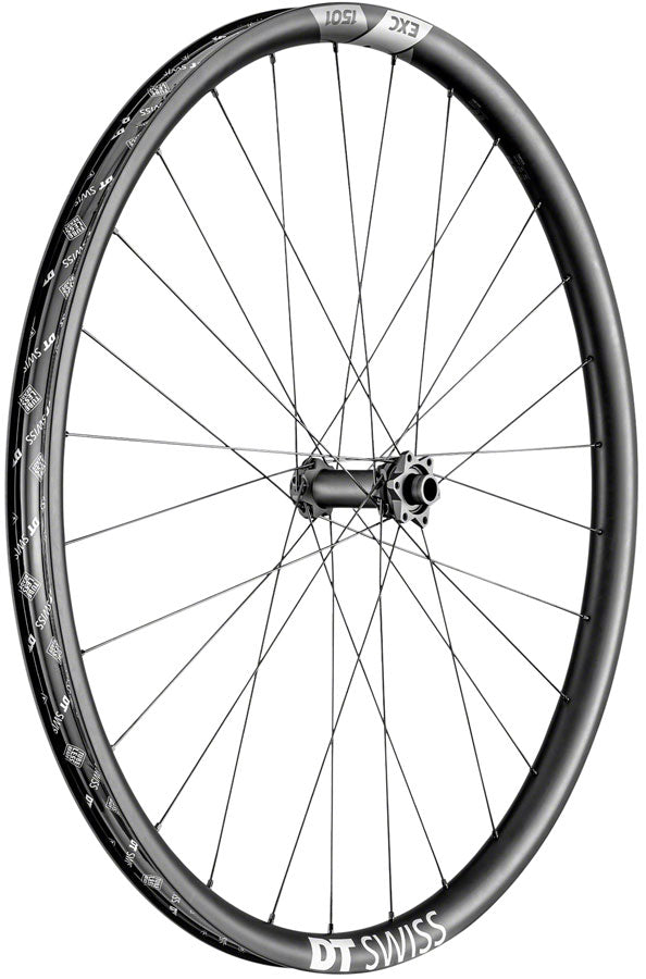 DT Swiss EXC 1501 Spline One Front Wheel - 29" 15 x 110mm Boost 6-Bolt Black Front Wheel DT Swiss   