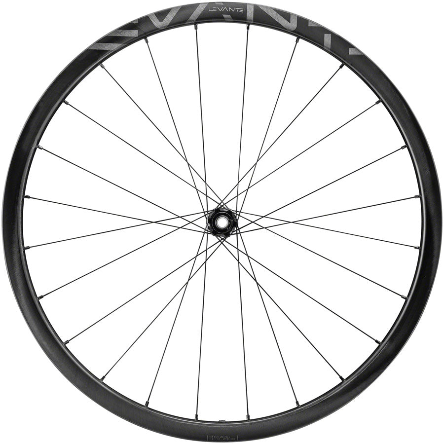 Campagnolo Levante Front Wheel - 700 12 x 100mm CenterLock Black Front Wheel Campagnolo   
