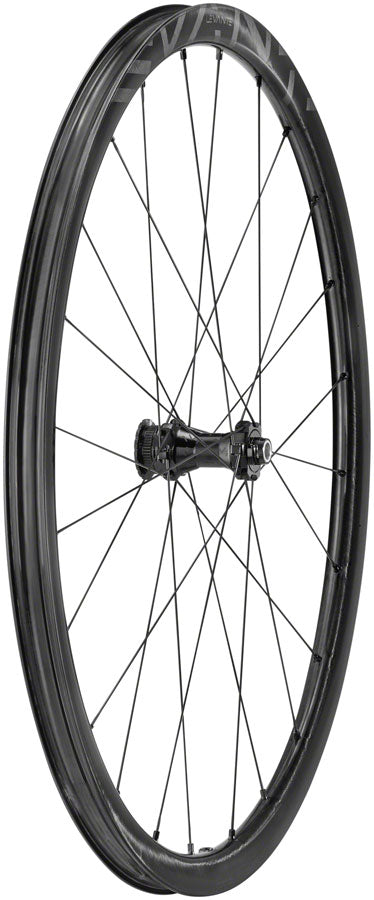 Campagnolo Levante Front Wheel - 700 12 x 100mm CenterLock Black Front Wheel Campagnolo   